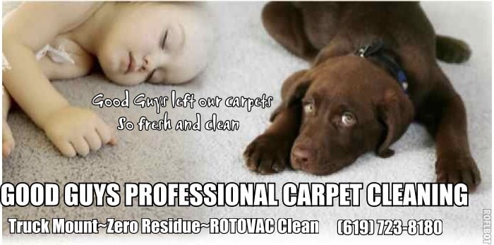 Photo of Good Guys Professional Carpet Cleaning