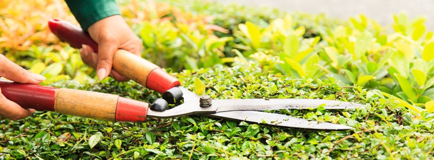 Photo of Fall Landscape & Tree Service
