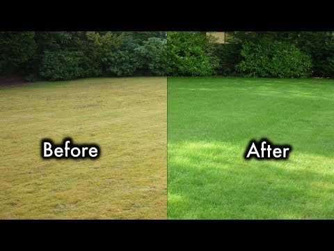 Photo of Artificial Grass Turf