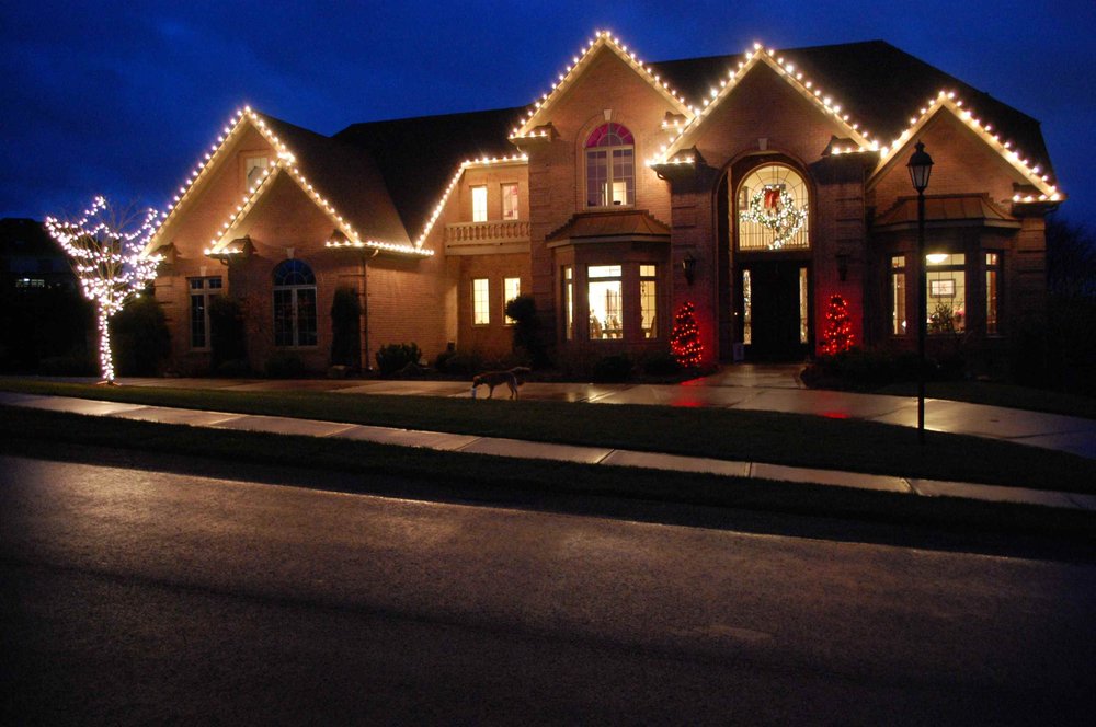 Photo of Professional Landscape Service