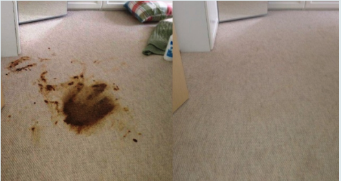 Photo of Preferred Carpet Care