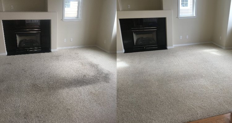 Photo of Preferred Carpet Care