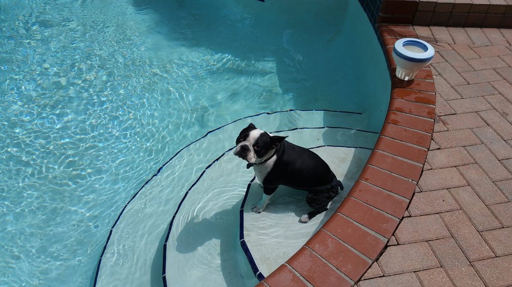 Photo of Aqua Pool Solutions
