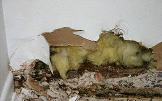 Photo of Nu Wall