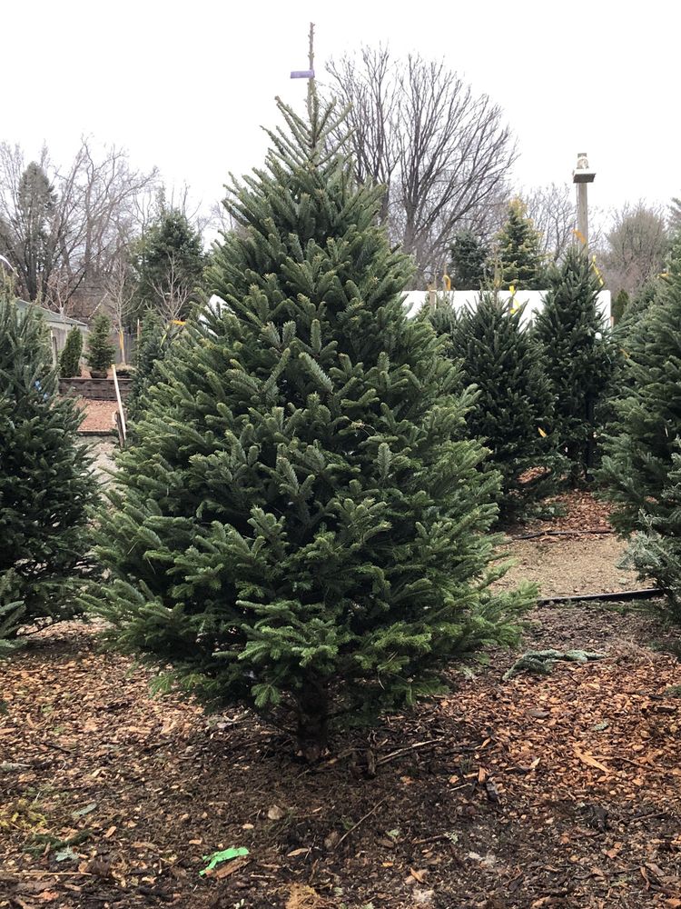Photo of Exley's Landscape Service