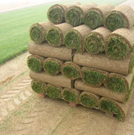 Photo of Bush Sod Farms