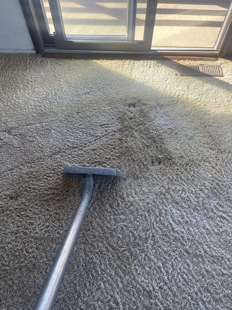 Photo of Pacific Shores Carpet Care