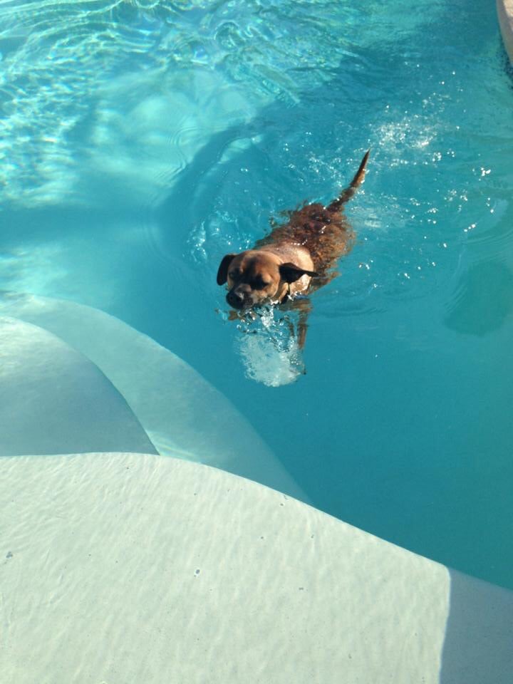Photo of Annabella's Pool Cleaning Service