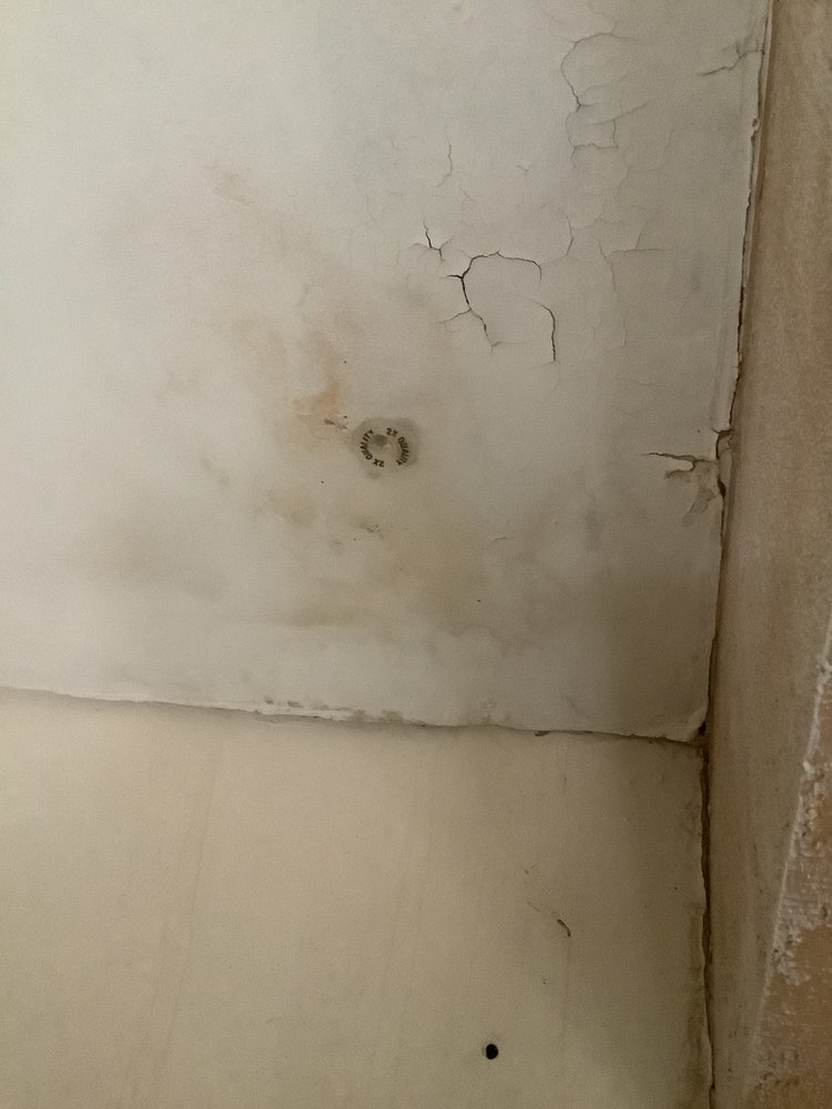 Photo of All Dry Services of Phoenix and East Valley