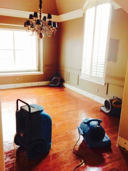 Photo of Restoration Solutions