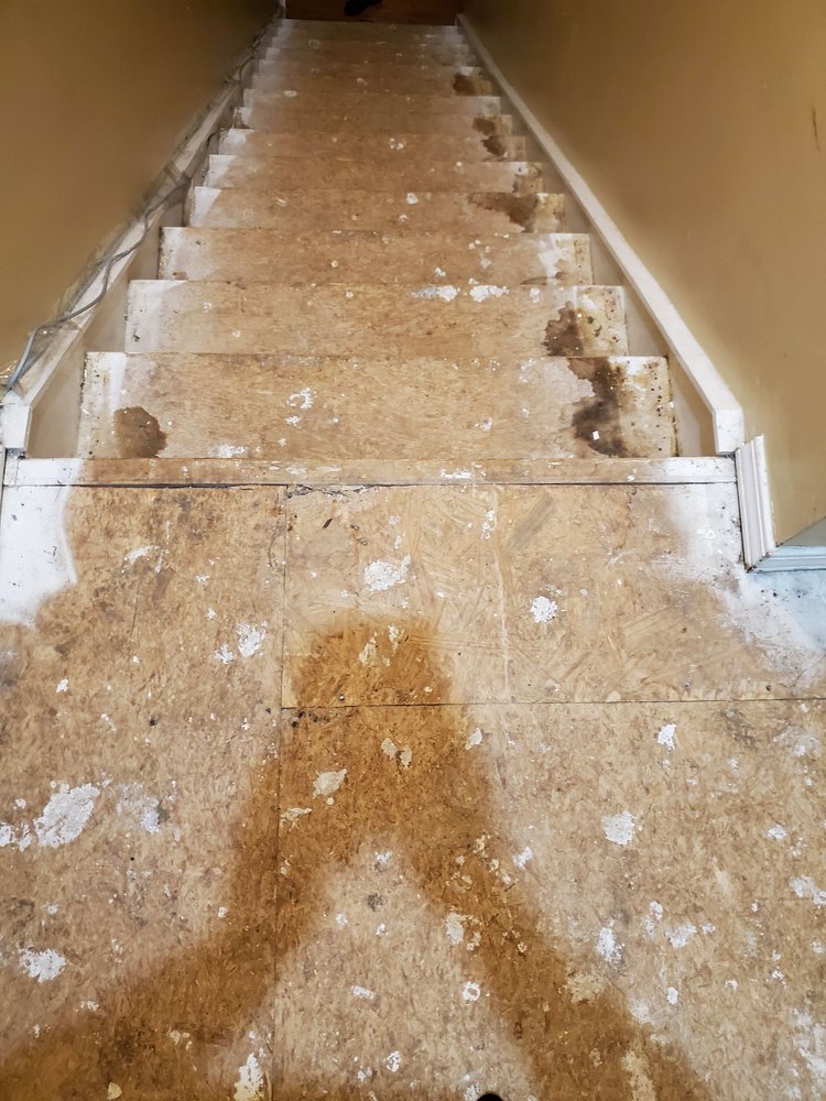 Photo of Action Restoration