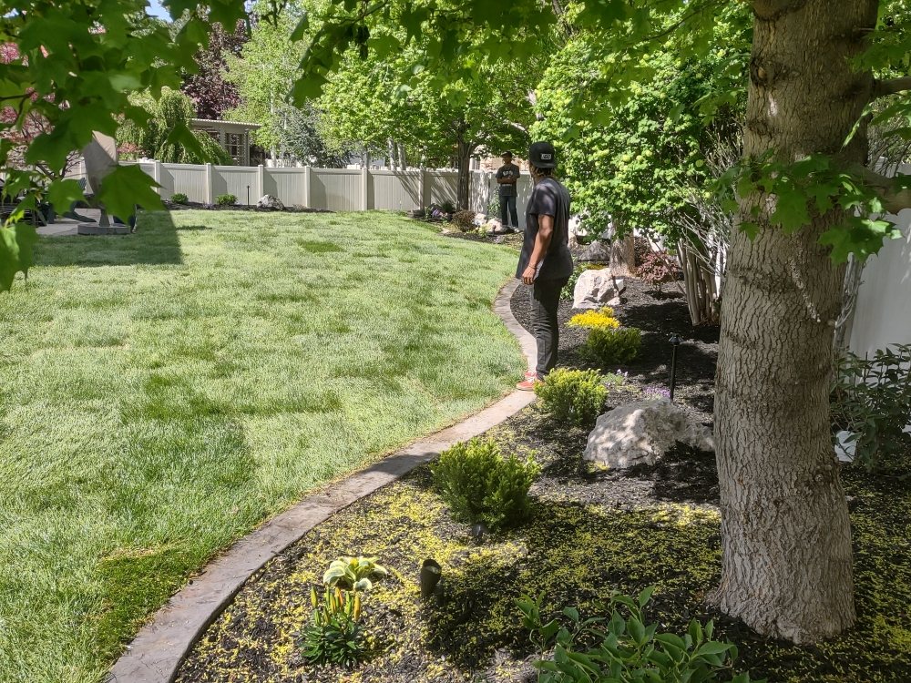 Photo of Cypress Landscaping
