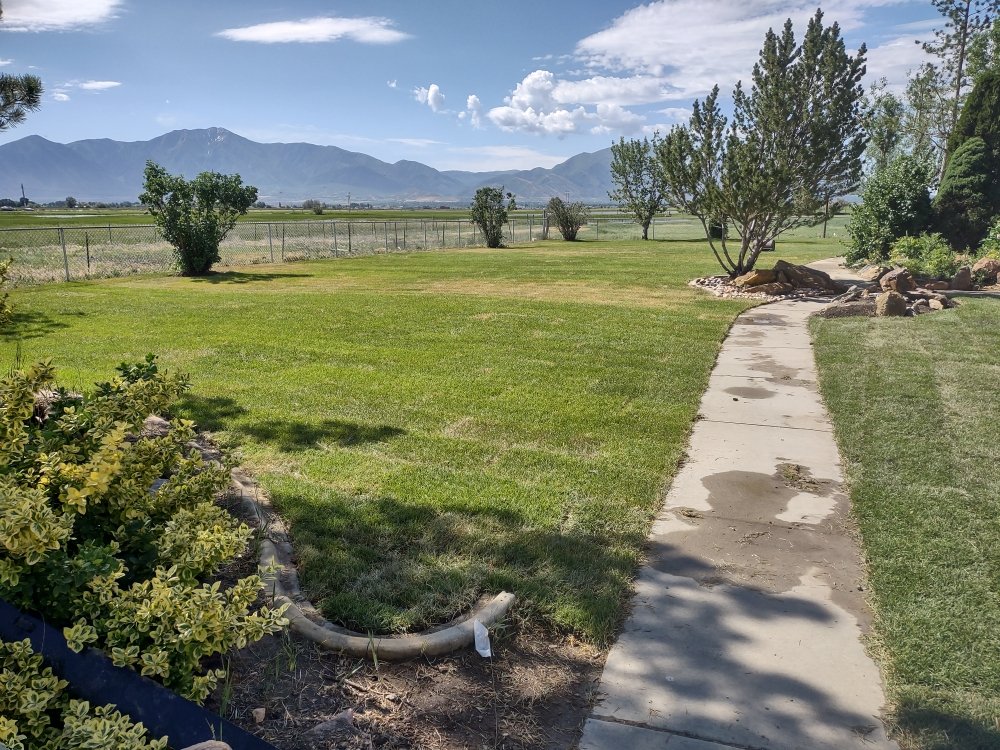 Photo of Cypress Landscaping