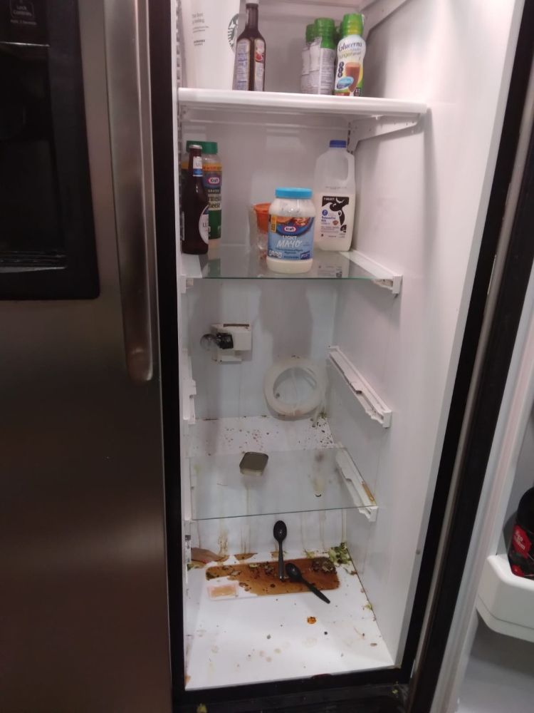 Photo of Best SCV Cleaning