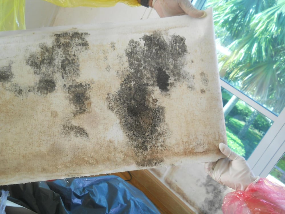Photo of At Environmental Solutions