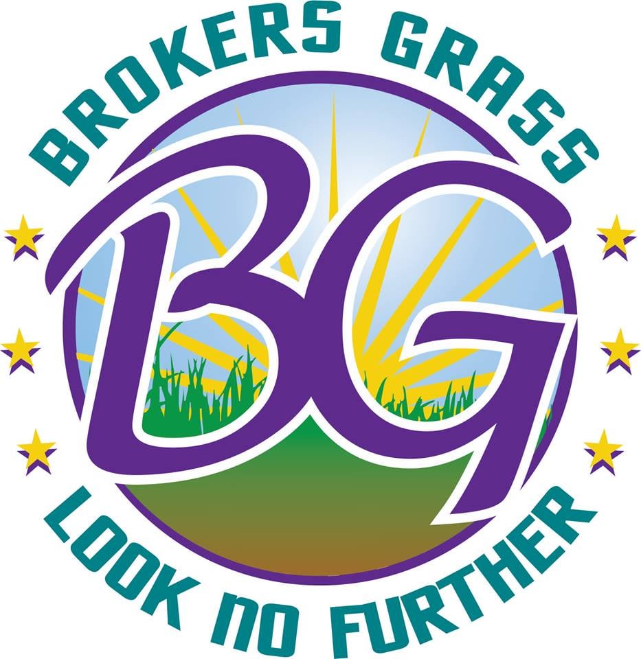 Photo of Brokers Grass
