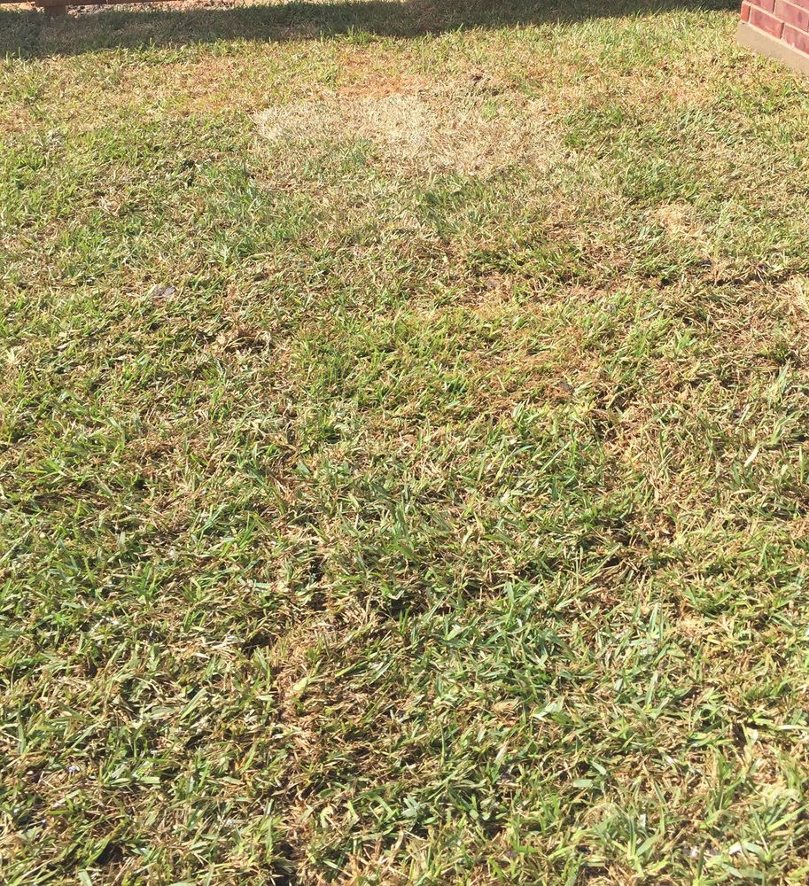 Photo of Brokers Grass