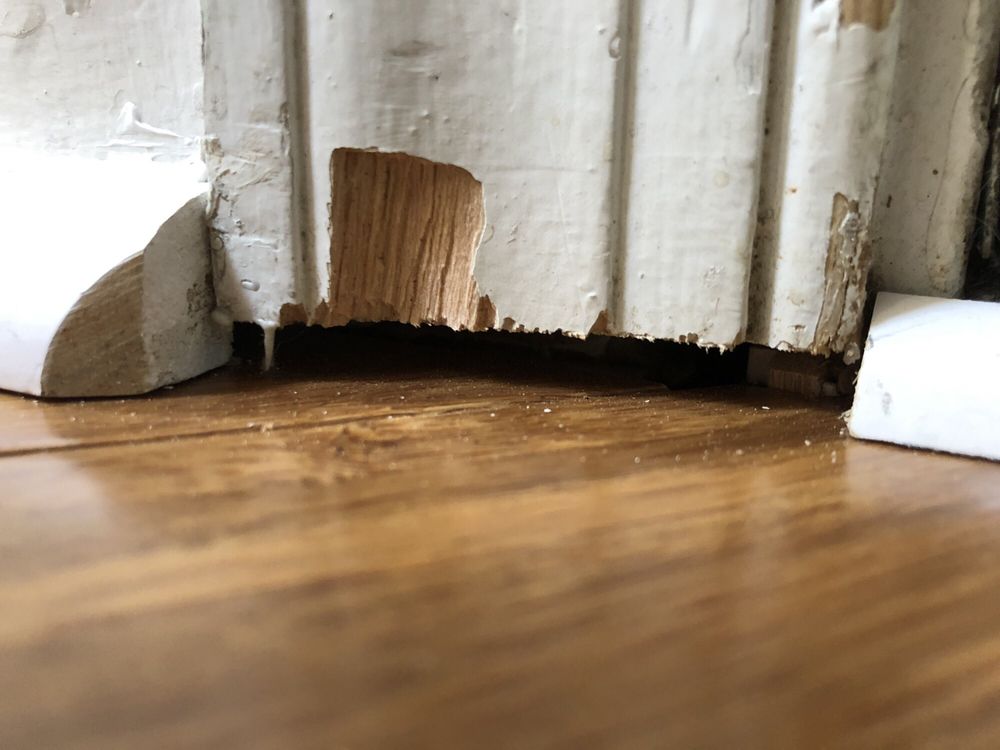 Photo of Watson Installations