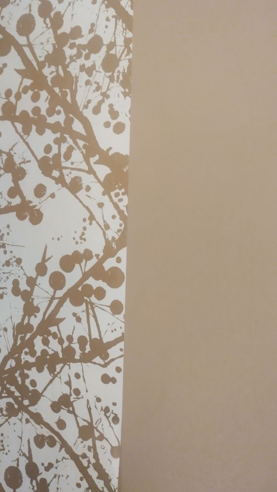 Photo of Kate Painting Service