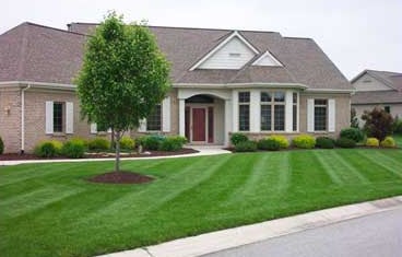 Photo of Alliance Lawn Care