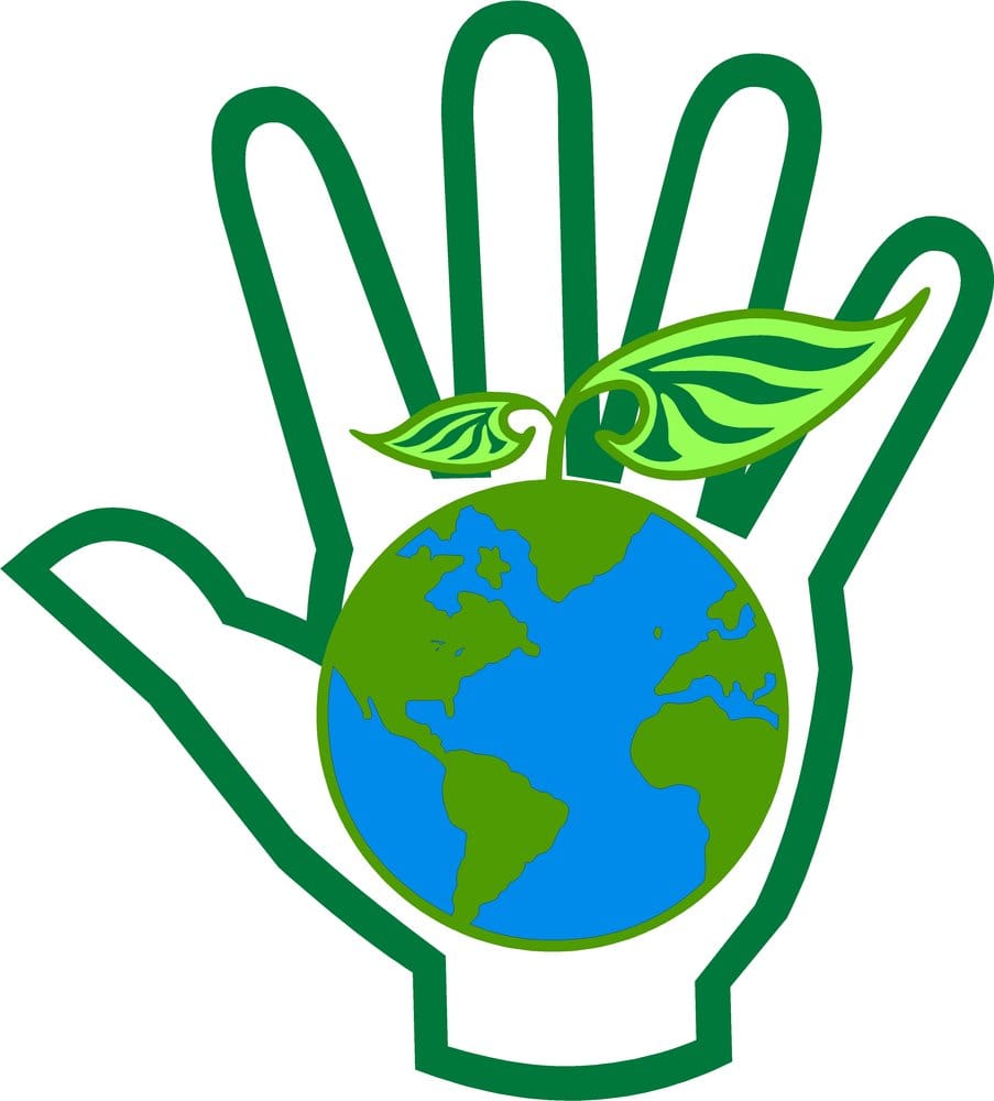 Photo of Hands on Earth Friendly Carpet Cleaning