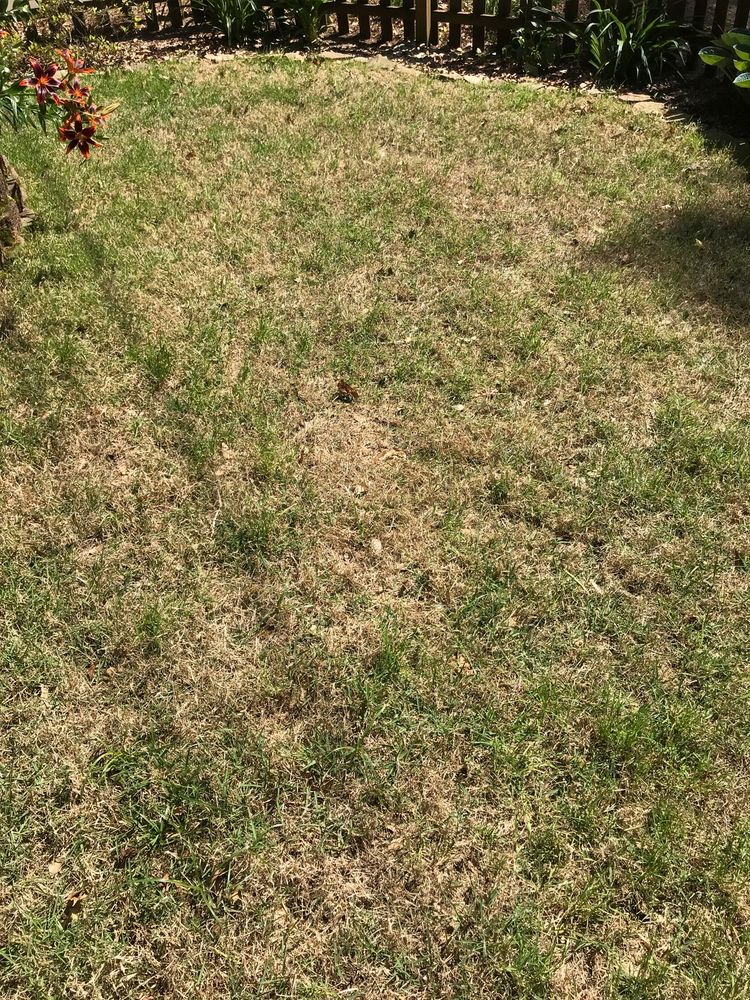 Photo of Atlanta Metro Sod