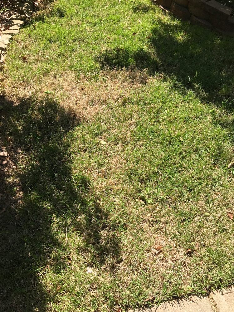 Photo of Atlanta Metro Sod
