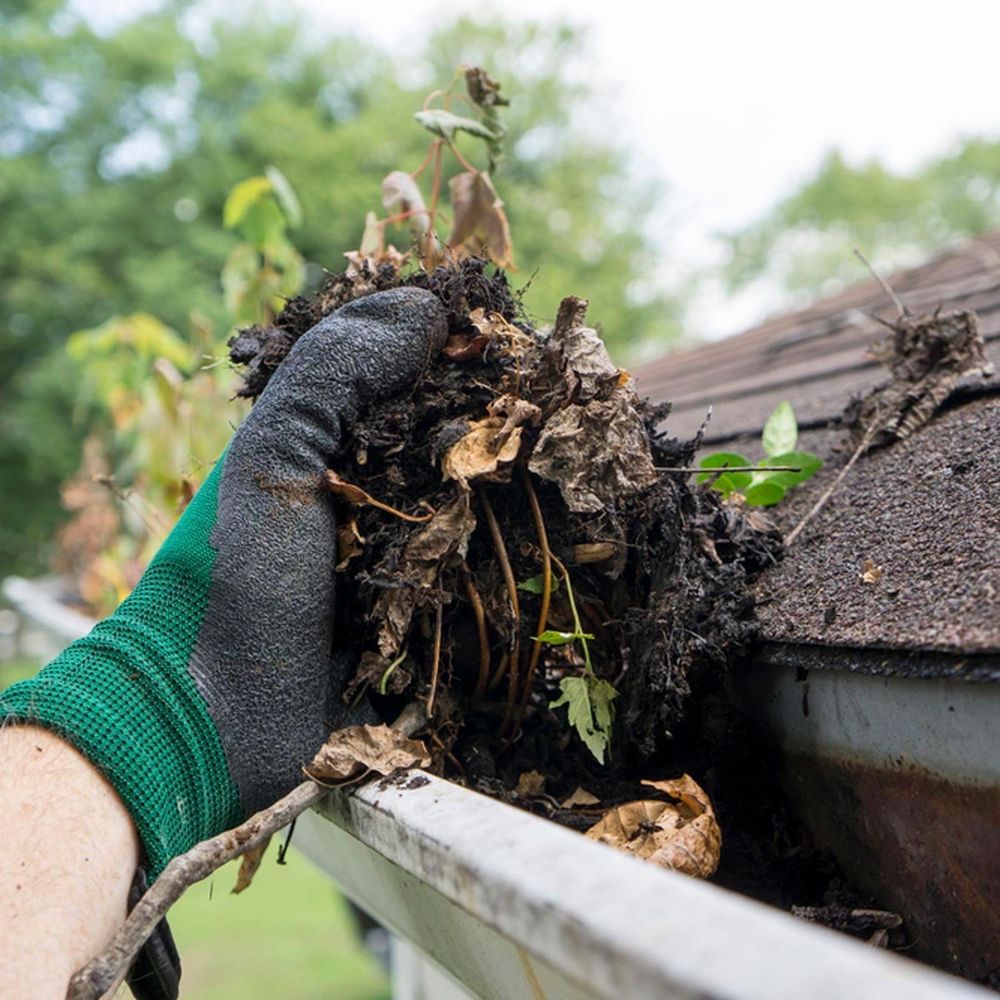 Photo of Rudy Gutter Services