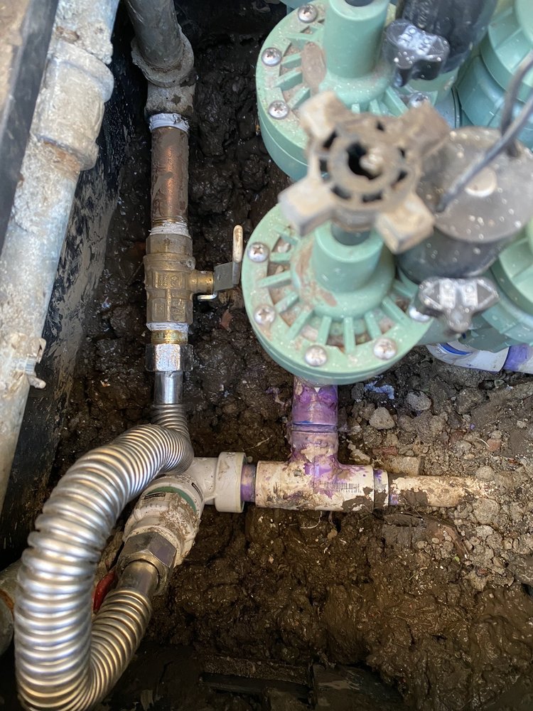 Photo of Red Tulip Plumbing