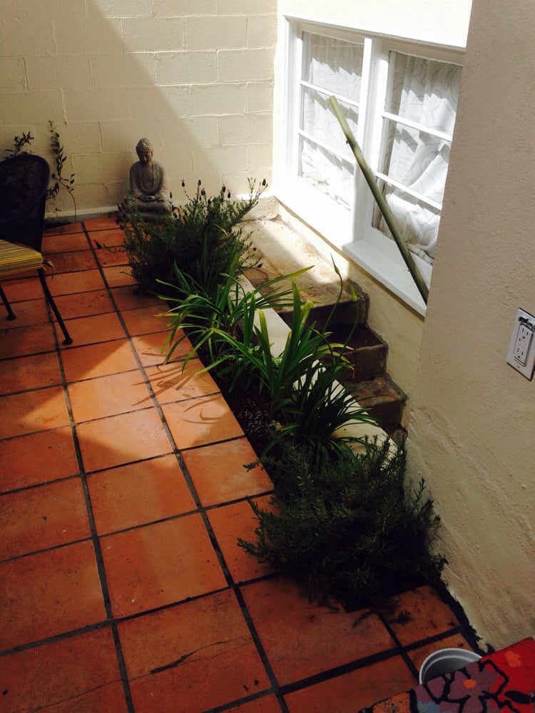 Photo of Azimut-Trees and Garden Services