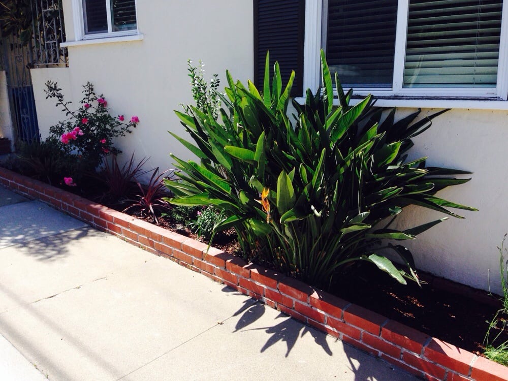 Photo of Azimut-Trees and Garden Services