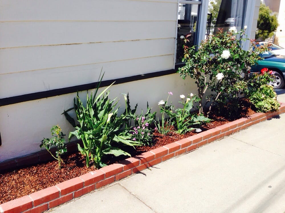 Photo of Azimut-Trees and Garden Services