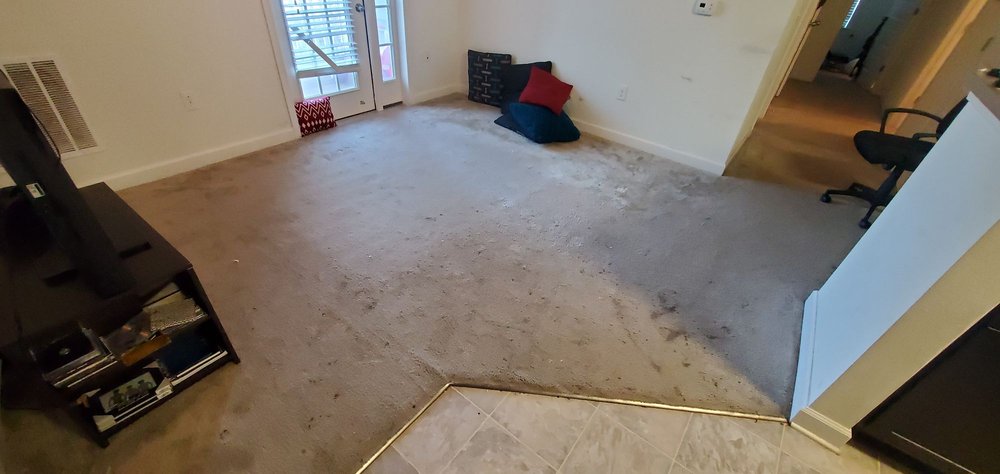 Photo of Rodney's Carpet Cleaning