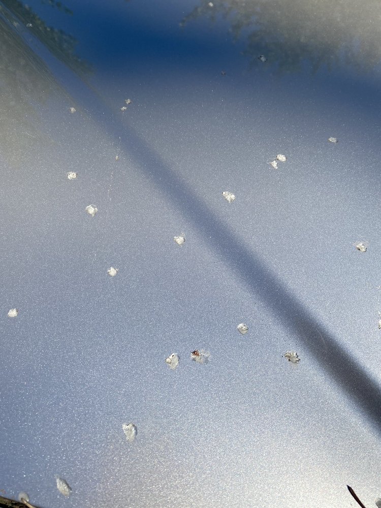 Photo of Keeboo Car Wash