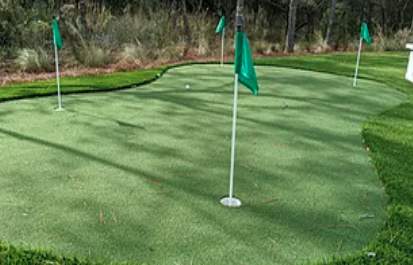 Photo of Holy City Synthetic Turf