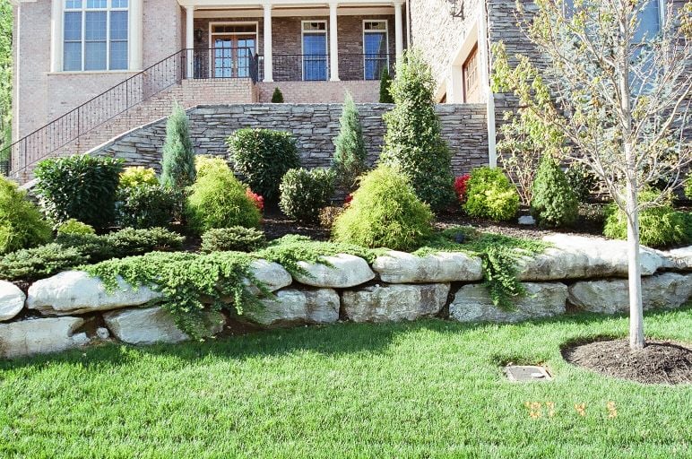 Photo of Ryno Lawn Care
