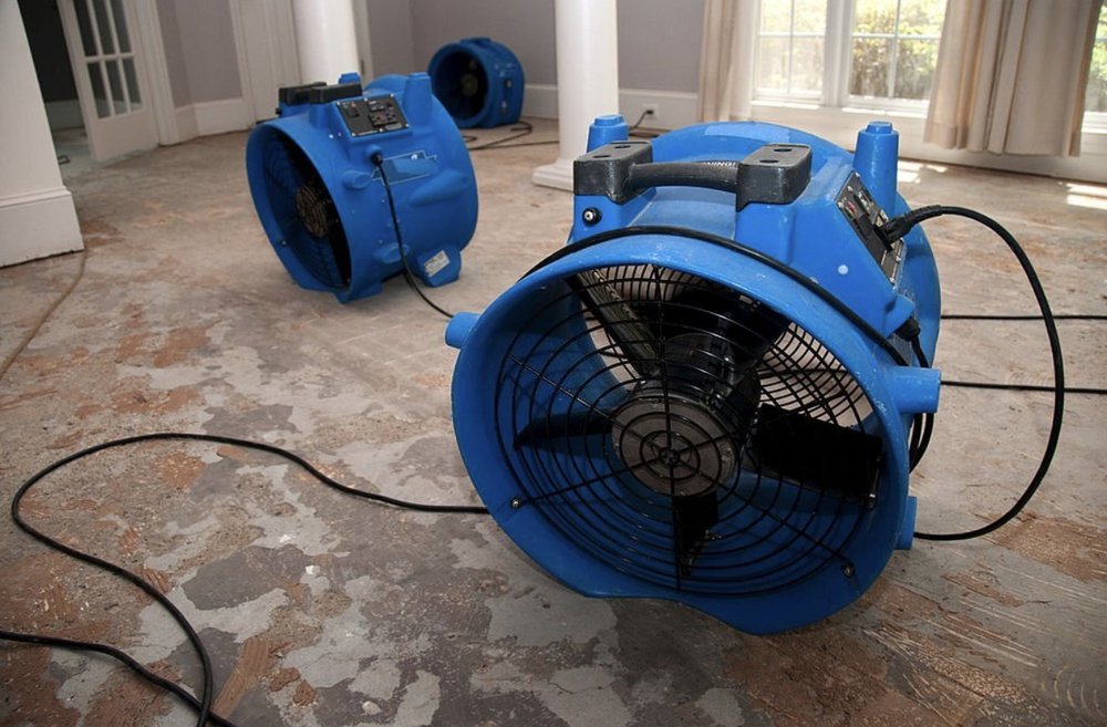 Photo of Daso green technologies