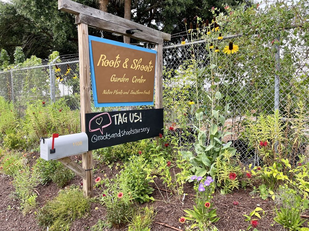 Photo of Roots and Shoots Nursery