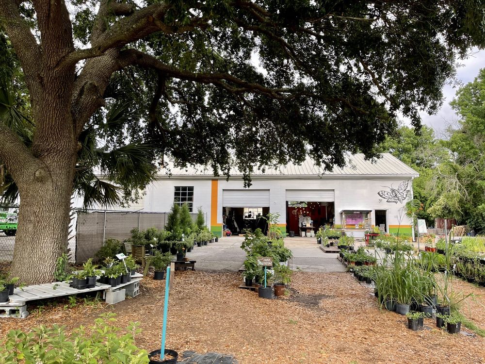 Photo of Roots and Shoots Nursery