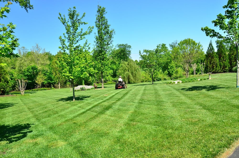 Photo of JMR Landscape
