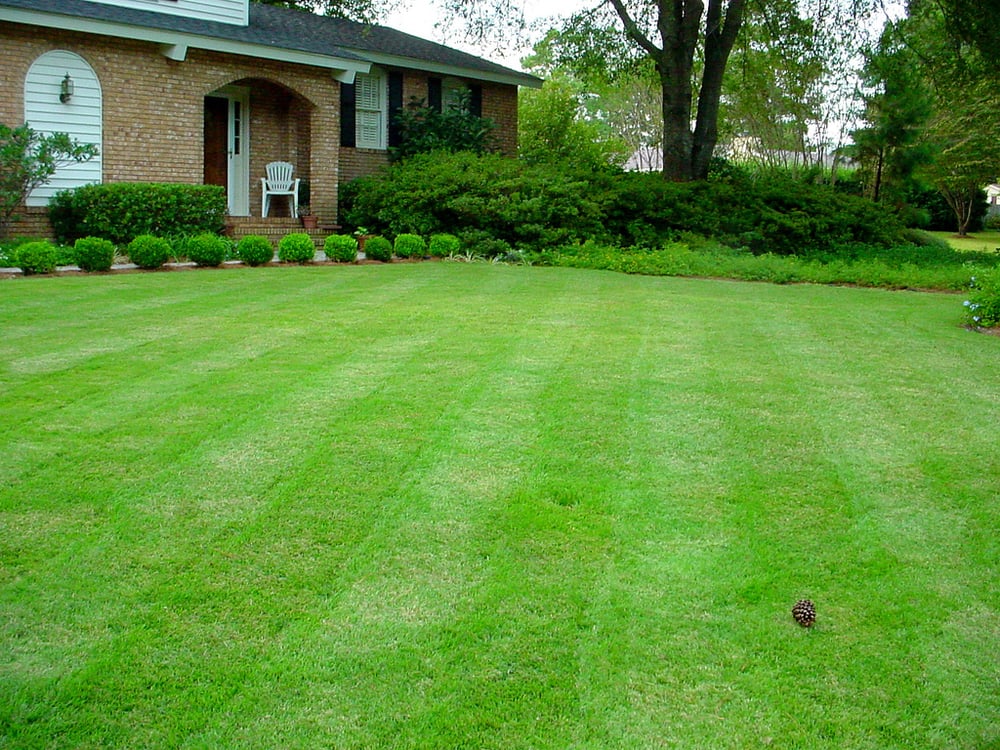 Photo of JMR Landscape