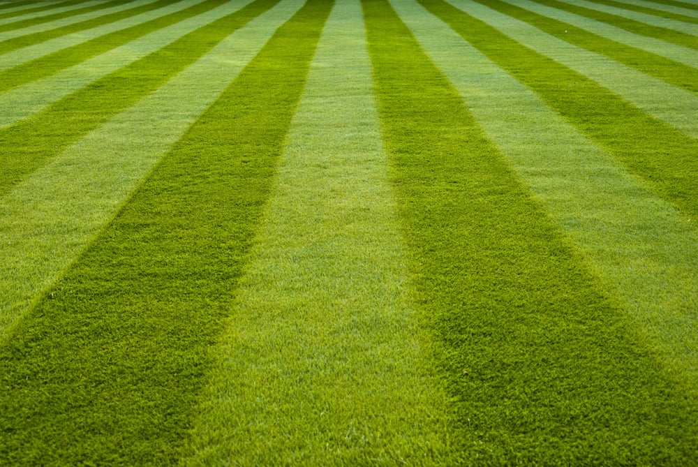 Photo of JMR Landscape