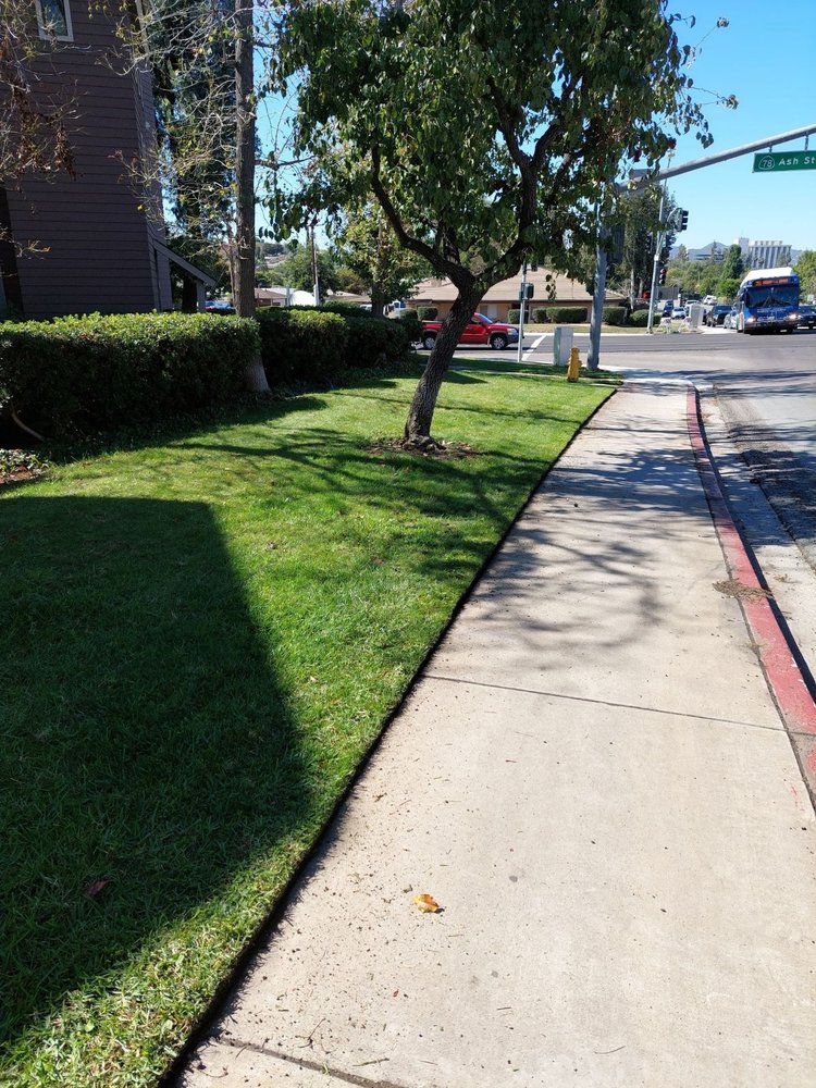 Photo of Mishek Property Services