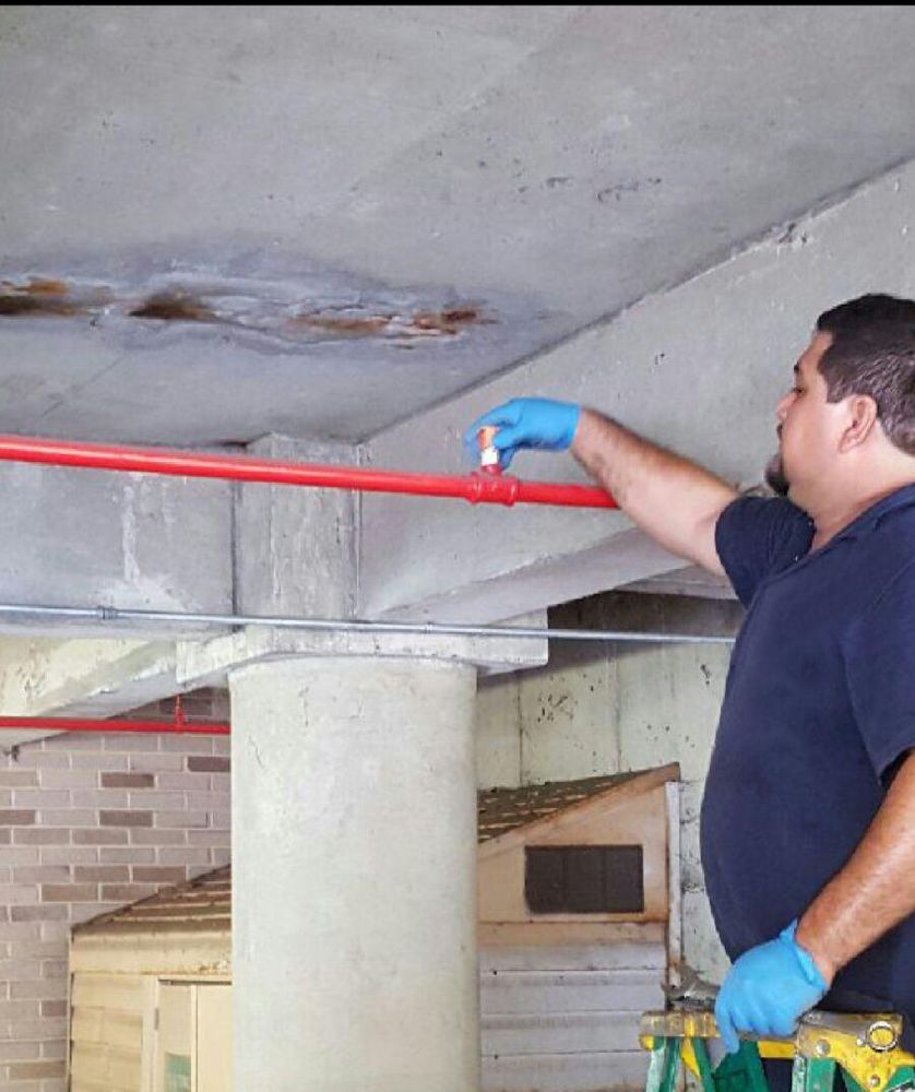 Photo of Star Fire Sprinkler