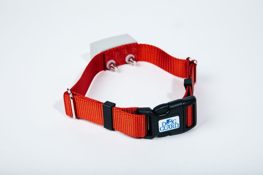 Photo of Lonestar Dog Guard