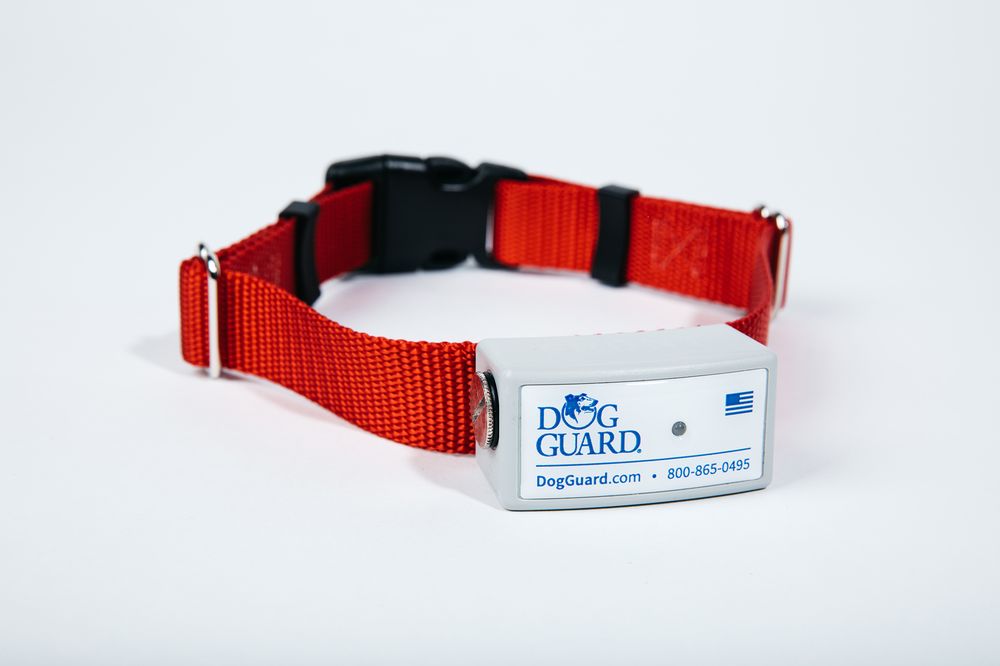 Photo of Lonestar Dog Guard