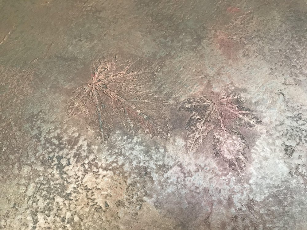 Photo of Julie Art