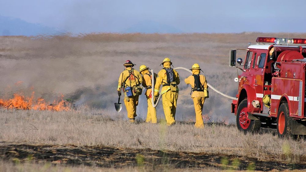 Photo of FIREWISE 2000