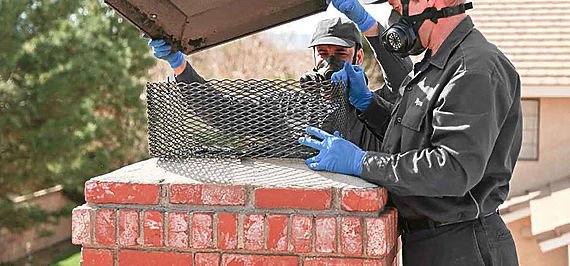 Photo of Chimney Sweep