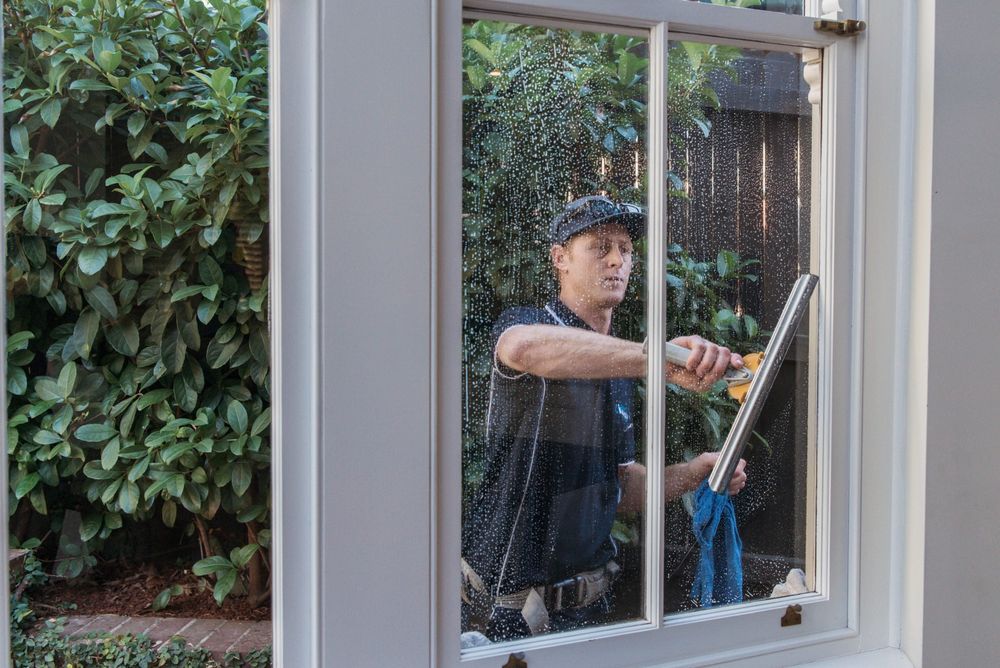 Photo of Blue Panda Window Cleaning